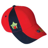  Embroidered Hat