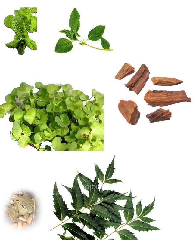  Herbal Extracts (Экстракты)