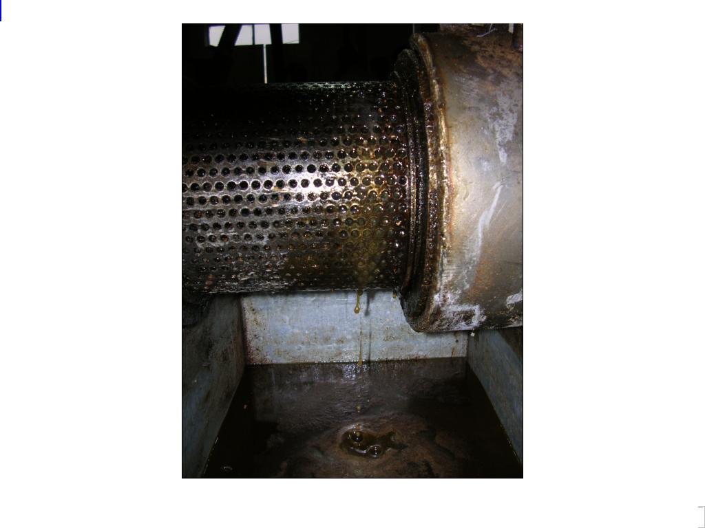  Pomegranate Oil (Huile de grenade)