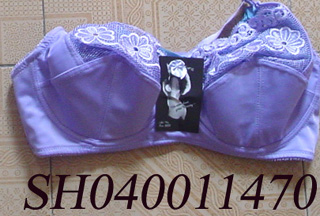  Plus Size Bras