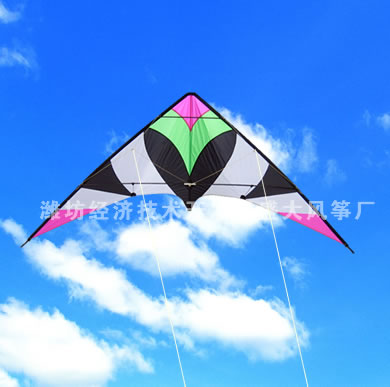  Stunt Kite (Lenkdrachen)
