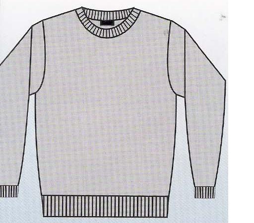  Super Sweat T-Shirt ( Super Sweat T-Shirt)