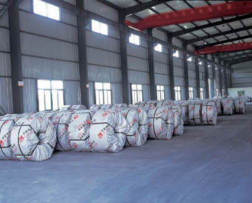  Hot Rolled Stainless Steel Coil ( Hot Rolled Stainless Steel Coil)