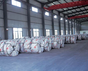  Hot Rolled Stainless Steel Coil (Hot Rolled Coil Edelstahl)
