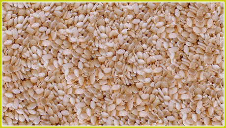  Sesame Seed (Graines de sésame)