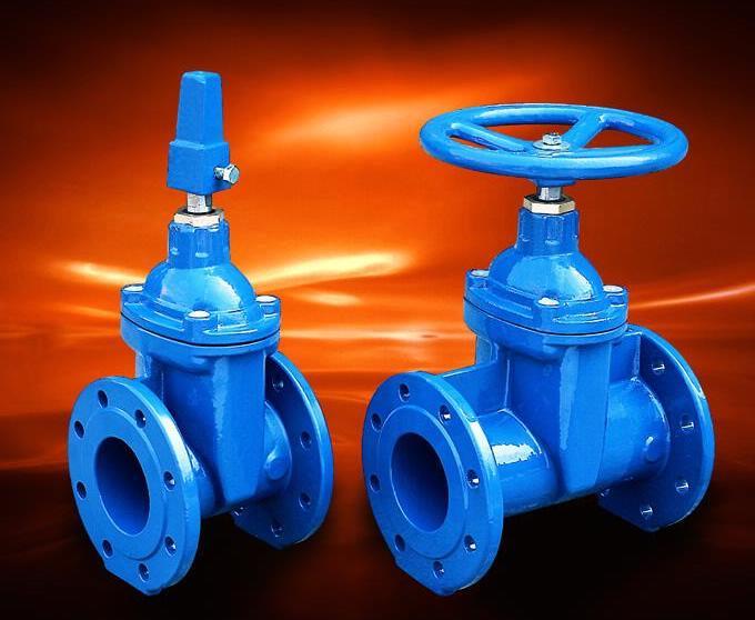  Iron Body Flanged Joint Ends Gate Valve (Iron Body brides mixte Gate Valve)