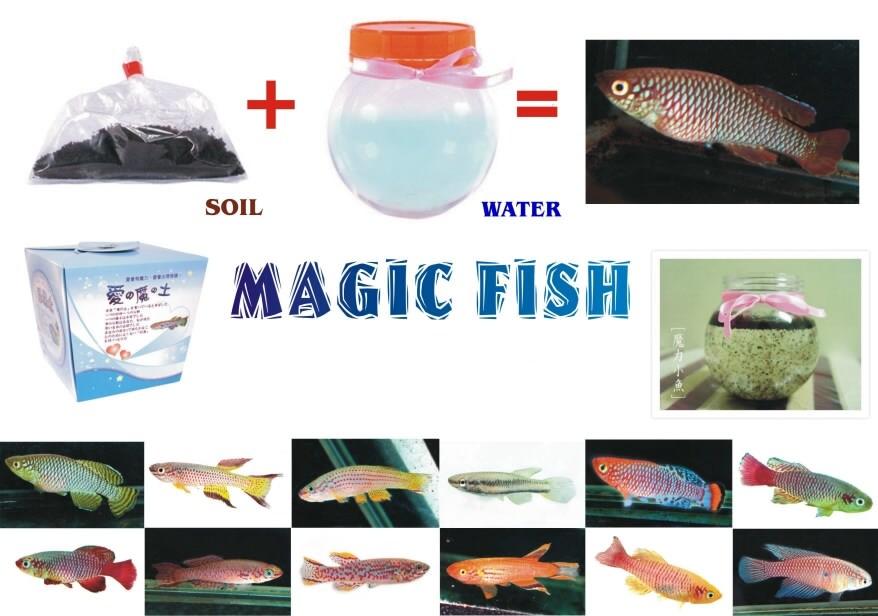  Magic Fish (Magic Soil, Lucky Fish) ( Magic Fish (Magic Soil, Lucky Fish))