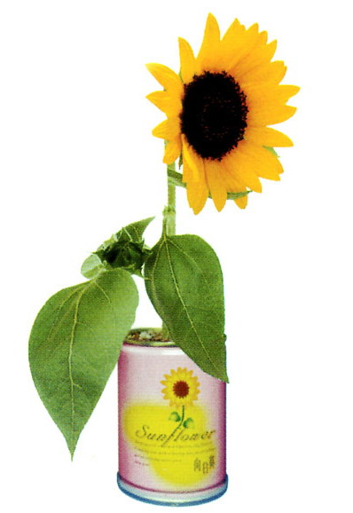  Can Flower (Mini Plant, Pet Tree, ) (Может цветок (мини-завод, Pet дерево,))