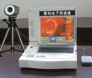  Portable LCD Digital Electric Vagina (with software) (Portable LCD Digital Electric Vagina (avec logiciel))