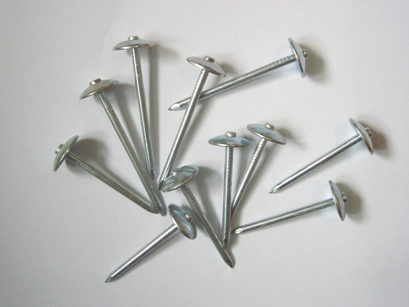  Galvanized Roofing Nails ( Galvanized Roofing Nails)