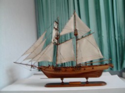  Model Ship ( Model Ship)