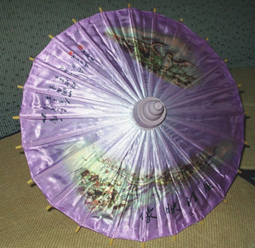  Umbrella (Umbrella)
