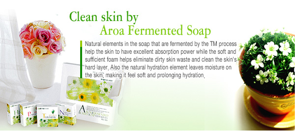  Fermented Soap