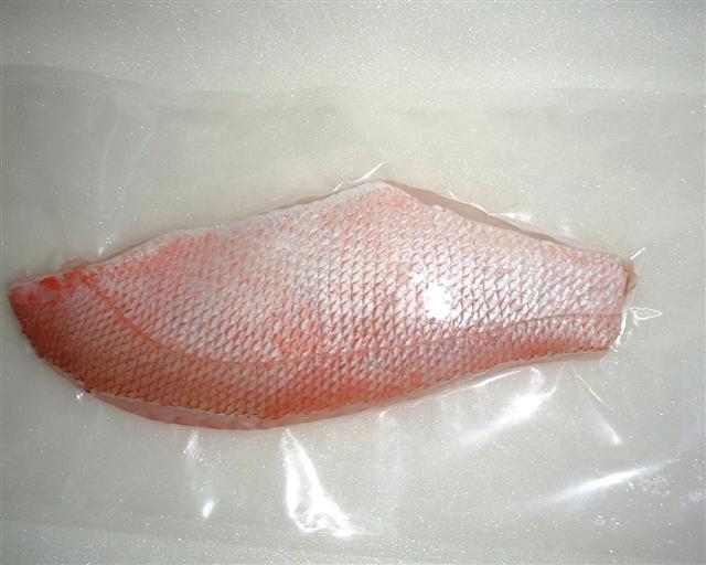  Scarlet Snapper ( Scarlet Snapper)