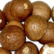  Areca Nut From Mangalore (Areca écrou de Mangalore)