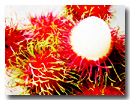  Fresh Rambutan (Frische Rambutan)