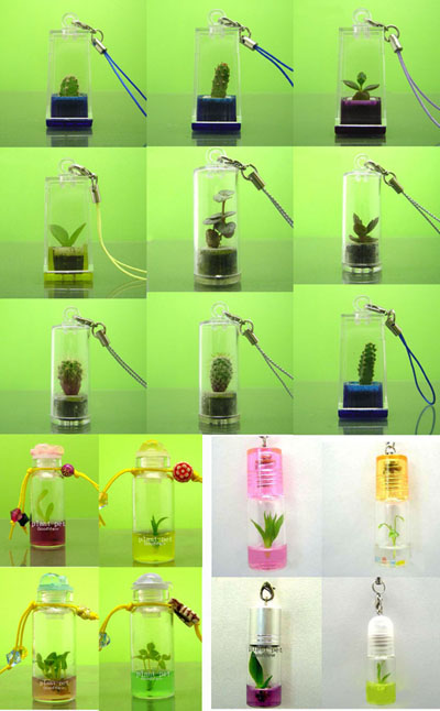  Pet Plants, Keychains (Pet Plants, Portes-clés)