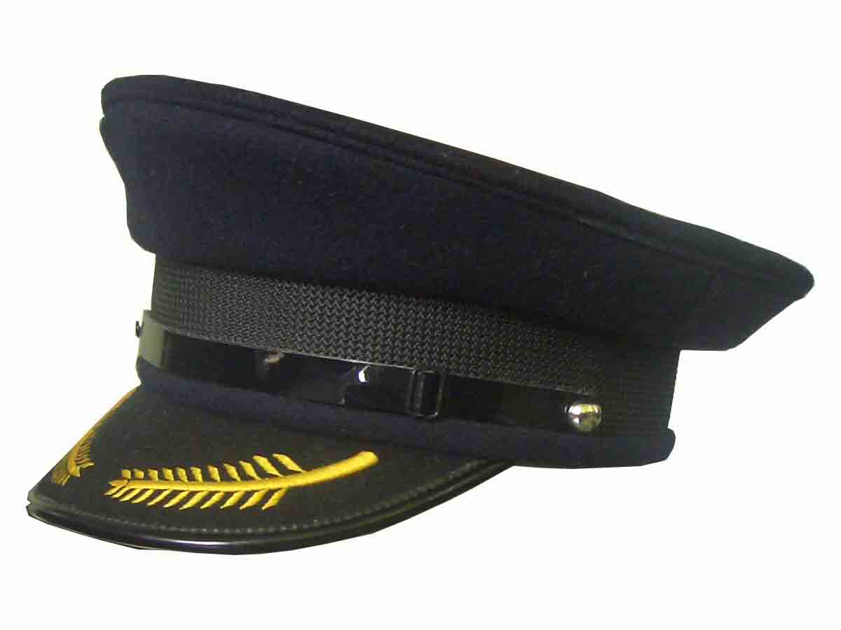  Navy Cap, Officer Cap, Chief Cap, Officer Hat From China (Флот Cap, сотрудника CAP, Cap, сотрудника шляпу с Китаем)