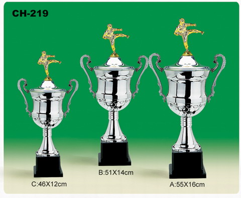  Trophy ( Trophy)