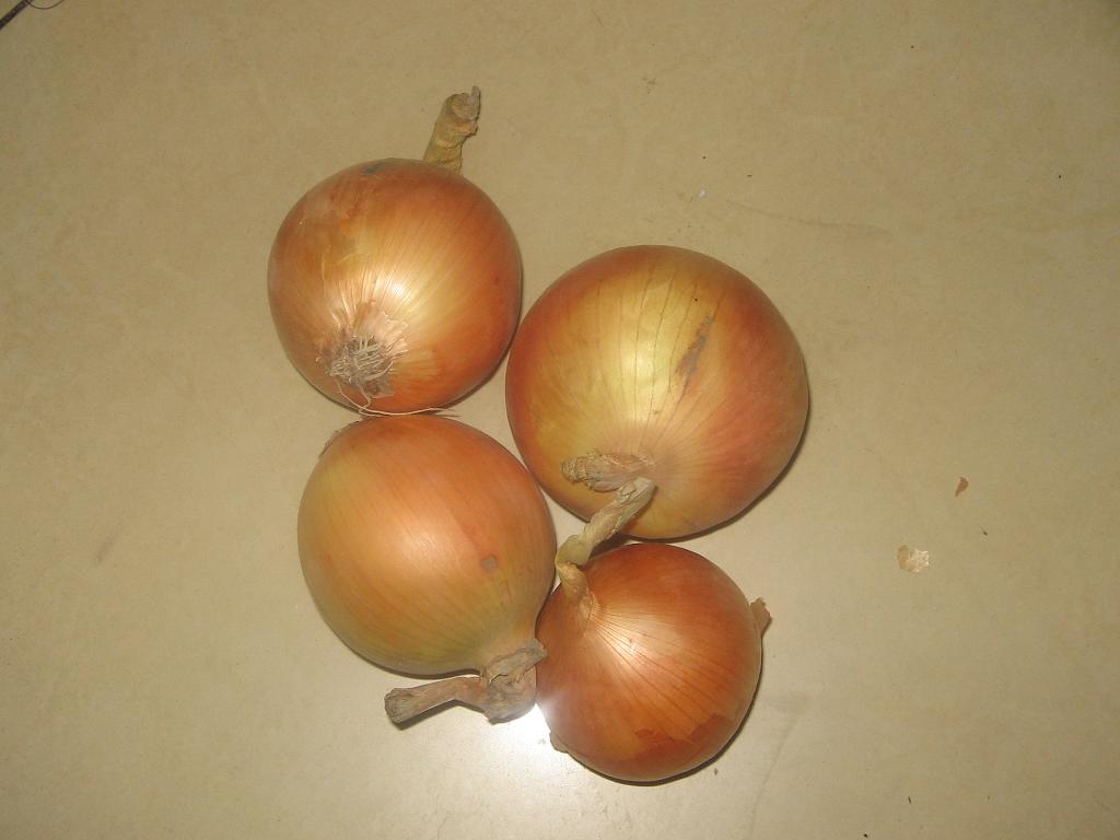  Yellow Onion (Желтый лук)