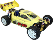  Nitro RC Cars Buggy Nitro, RC Buggy,1 : 10 RC Nitro Buggy ( Nitro RC Cars Buggy Nitro, RC Buggy,1 : 10 RC Nitro Buggy)