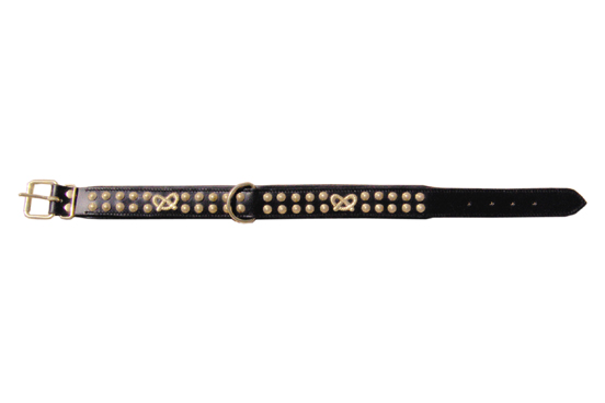  Bull Terrier Leather Dog Collar