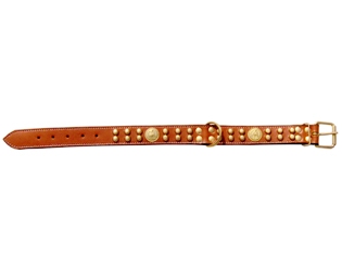  Staffordshire Bull Terrier Leather Dog Collar (Стаффордширский бультерьер кожа ошейник)