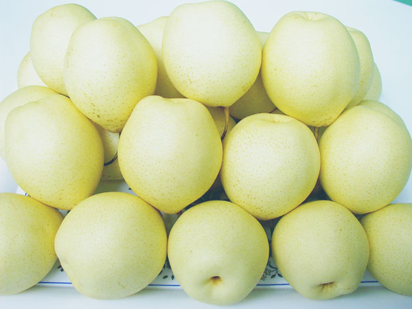  Ya Pears (Я. Груши)
