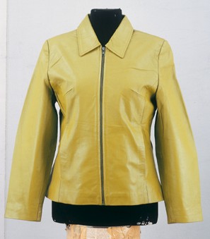 Leather Garments (Leather Garments)