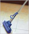 All Kinds Mops Series