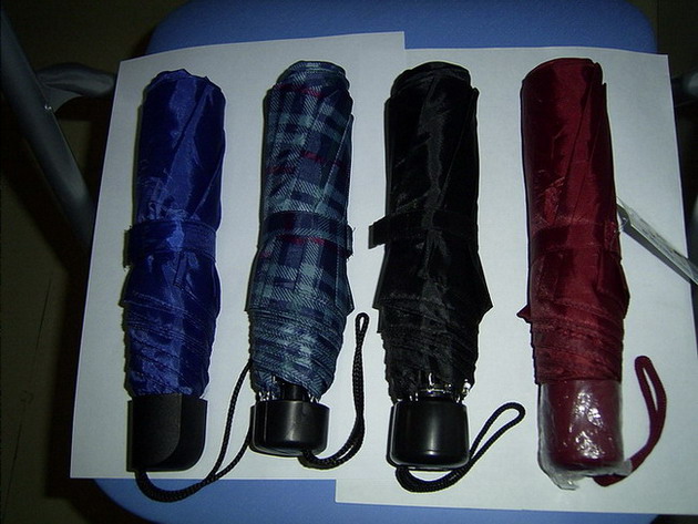  Folding Mini Umbrella (Mini-parapluie pliant)