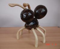  Black Ant (Black Ant)