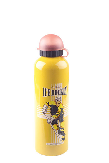  Aluminium Sports Bottle (Aluminium Sports Bottle)