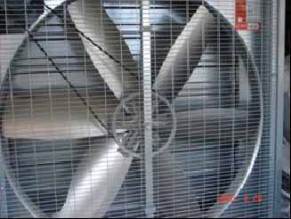  Exhaust Fan (Abzugshaube)