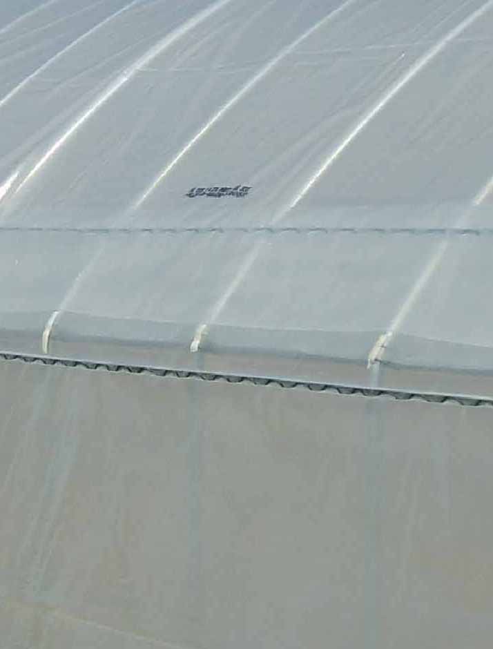  Plastic Greenhouse (Plastique à effet de serre)