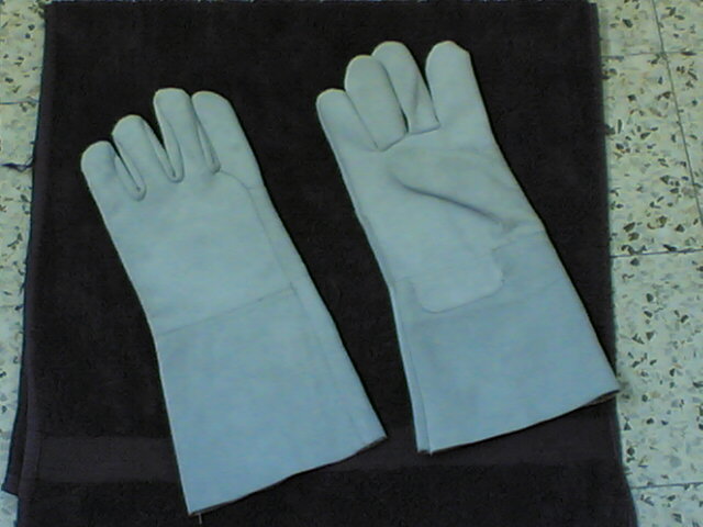 Gloves (Leather)