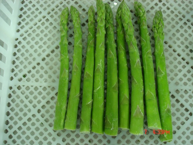  Asparagus (Спаржа)