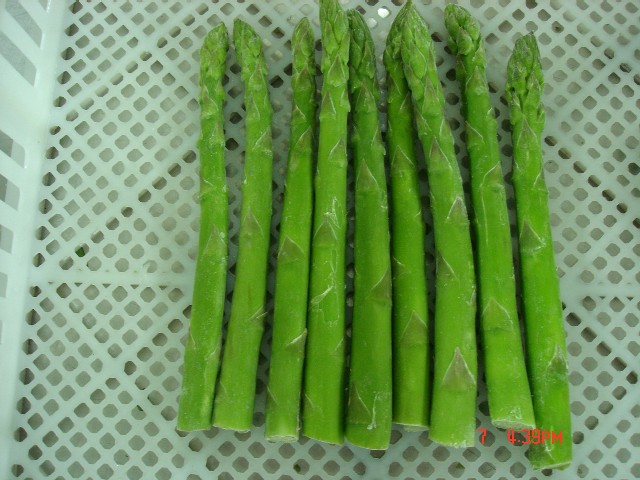  Asparagus