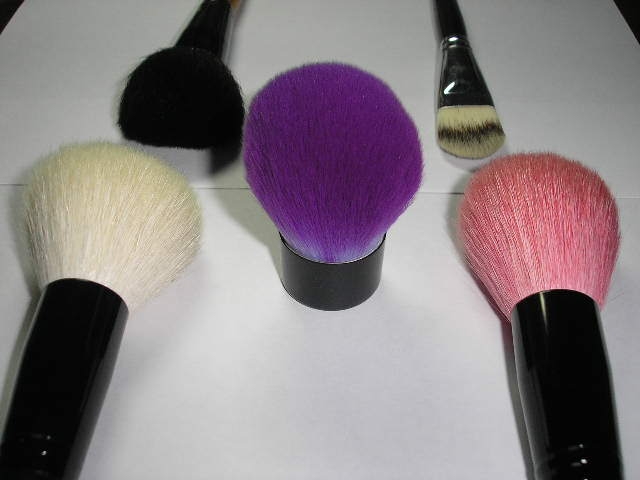  Cosmetic Brush ( Cosmetic Brush)