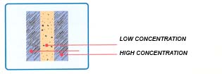  Sandwich Conical Segments (Сэндвич конических сегментов)