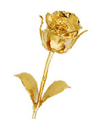  24kt Gold Plated Natural Rose
