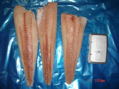  Frozen Hake Fillet (Frozen Seehechtfilet)