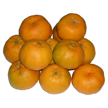  Oranges (Oranges)