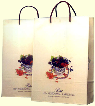  Paper Carry Bags (Sacs papier)