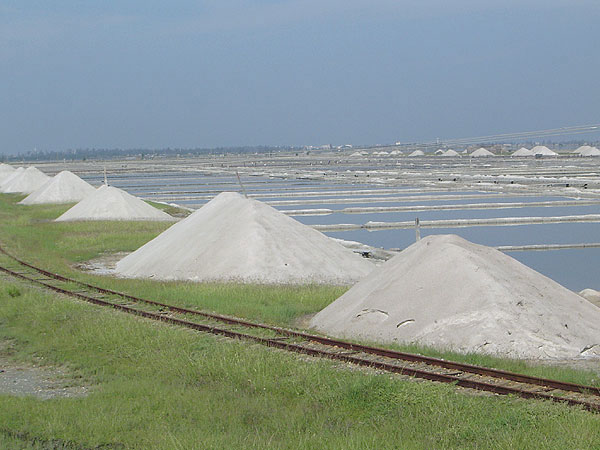  Low Sodium Sea Salt (Low Sodium Sea Salt)