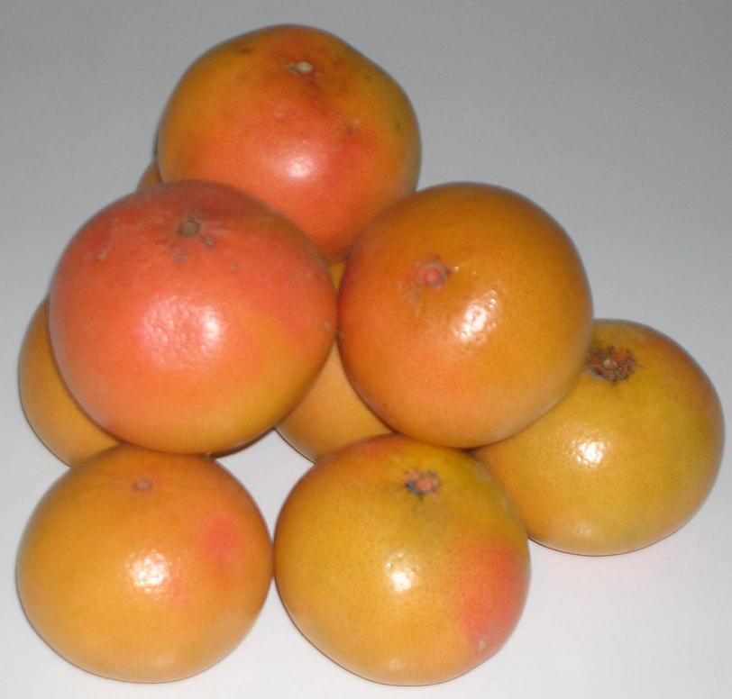  Grapefruit From Turkey (Le pomelo de la Turquie)