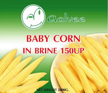 Canned Baby Corn (Canned Baby Corn)