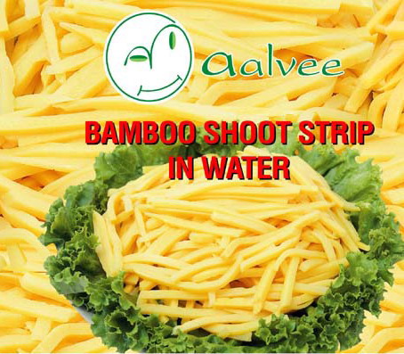  Canned Bamboo Shoot (De bambou en conserve Shoot)