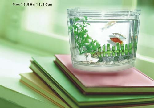  Desk Aquarium
