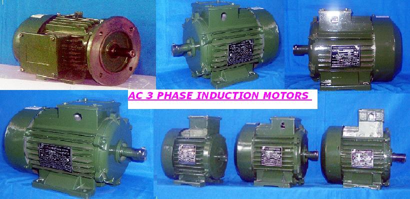  AC Induction 3 Phase And 1 Phase Motors ( AC Induction 3 Phase And 1 Phase Motors)